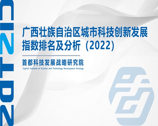 美女裸体插入【成果发布】广西壮族自治区城市科技创新发展指数排名及分析（2022）